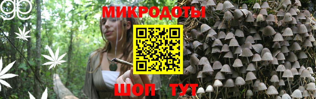 Глазов  Галлюциногенные грибы прущие грибы  Вход с VPN 